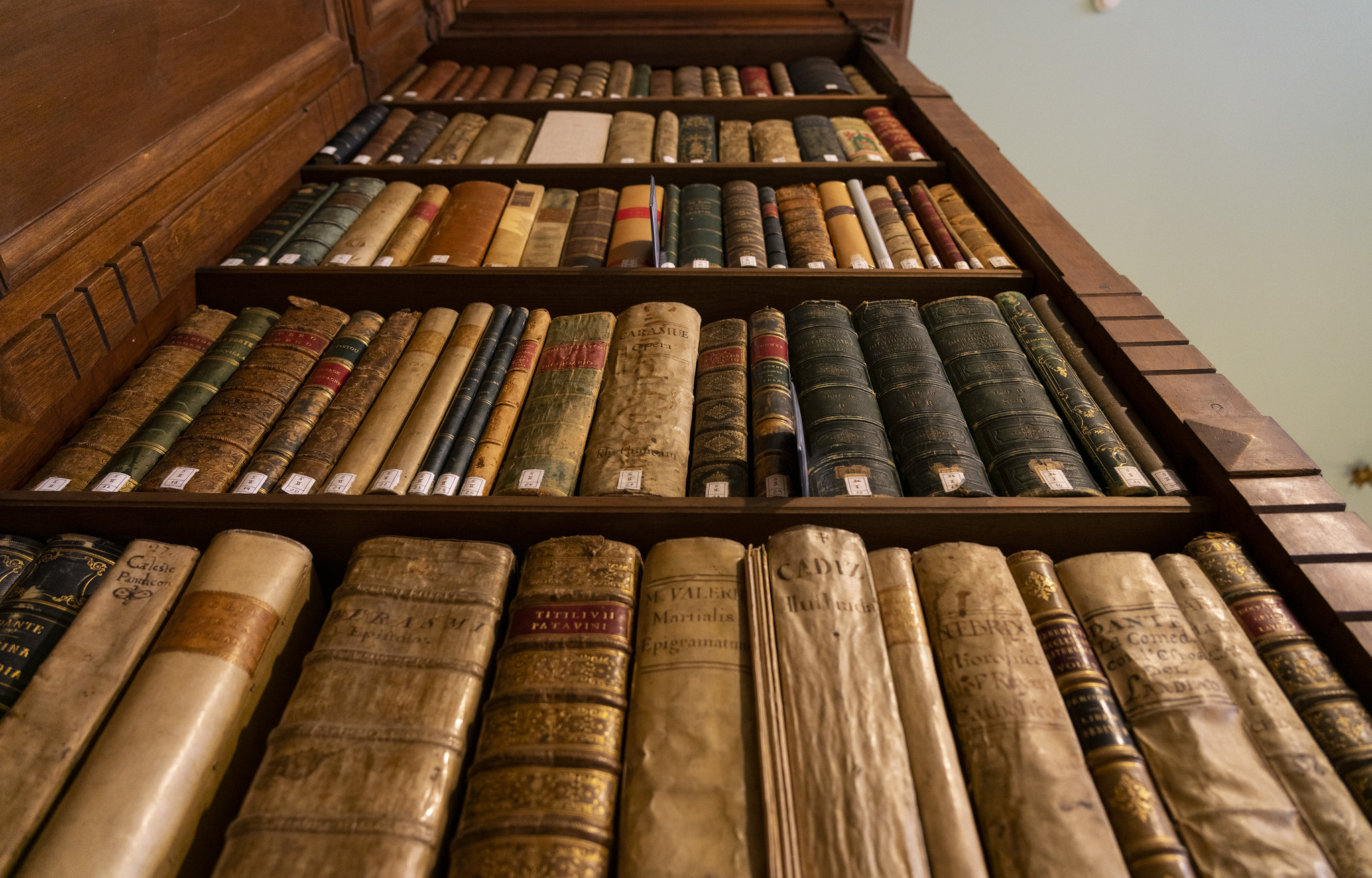 Candidaturas a los premios Real Academia Española y Borau-RAE 2024 ...