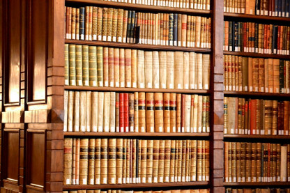 Detalle de la biblioteca académica.