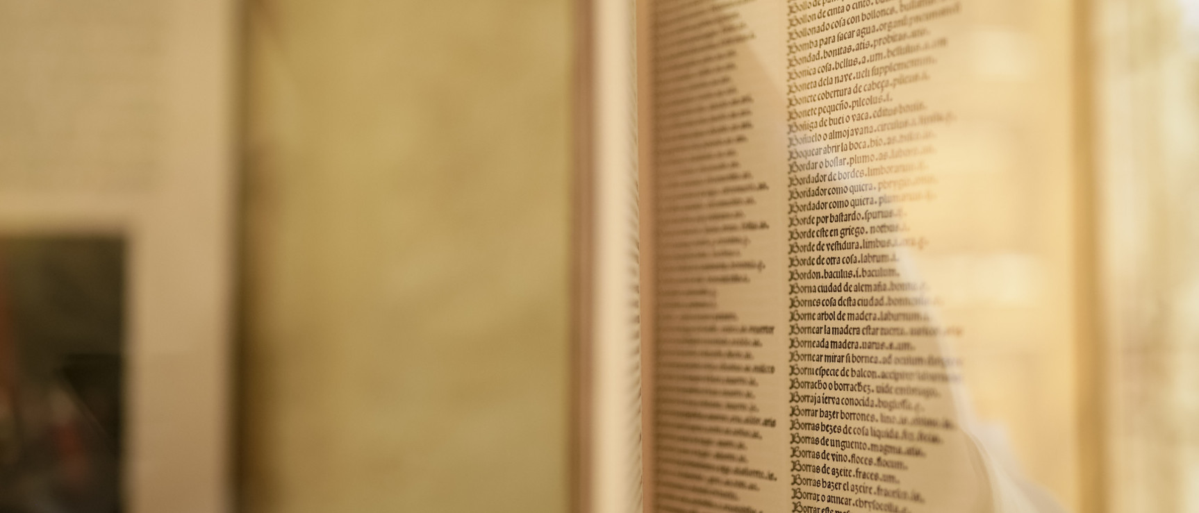 Exposición «Diccionarismos. La riqueza de nuestra lengua», en la Biblioteca Mario Vargas Llosa de Arequipa, Perú