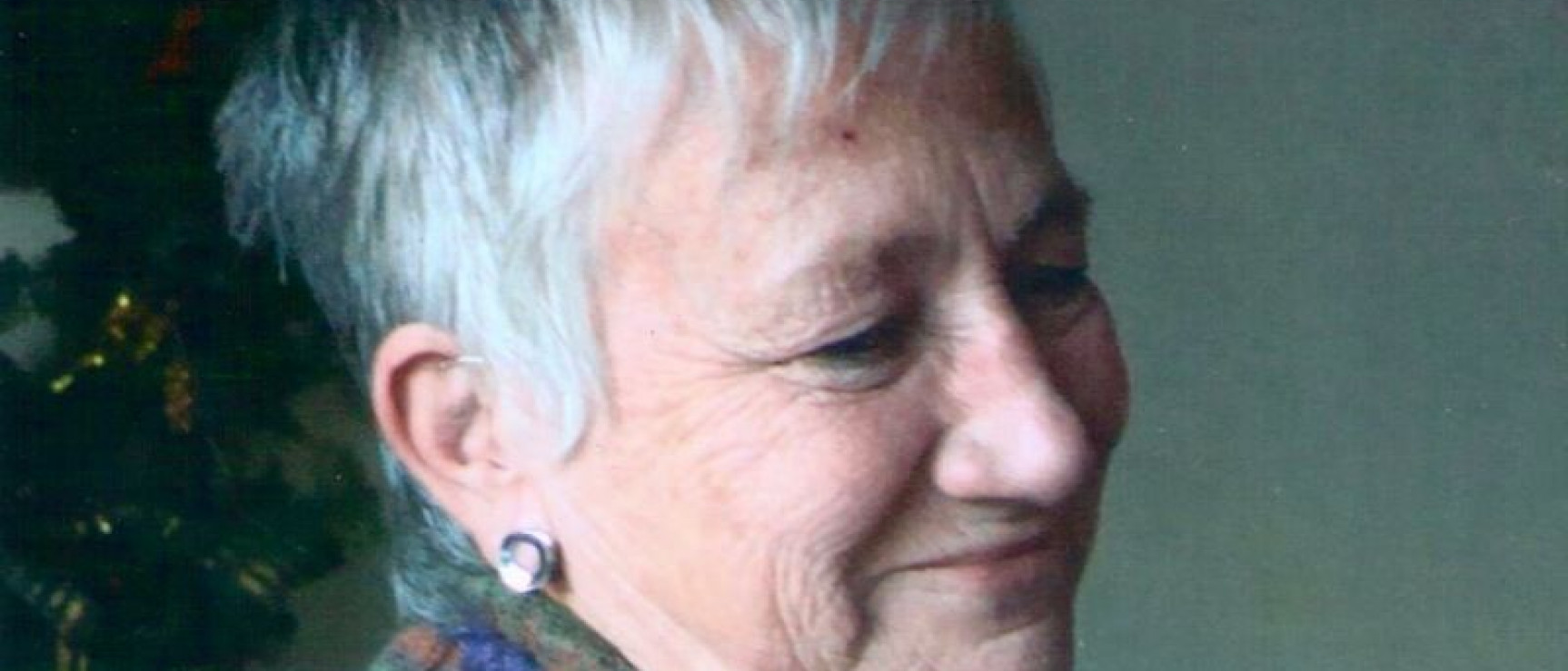 Paz Battaner ocupará la silla «s» de la RAE.