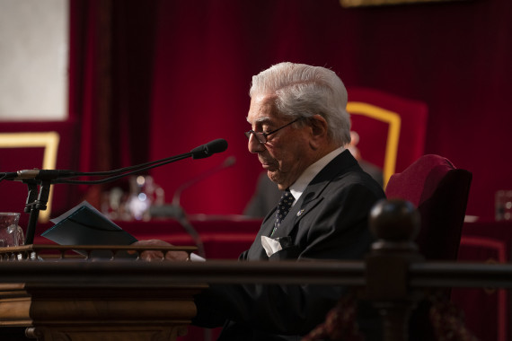 Mario Vargas Llosa (foto: RAE)