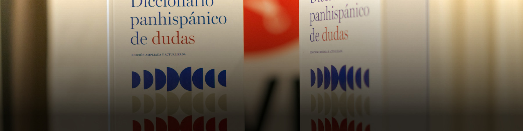 Diccionario panhispánico de dudas