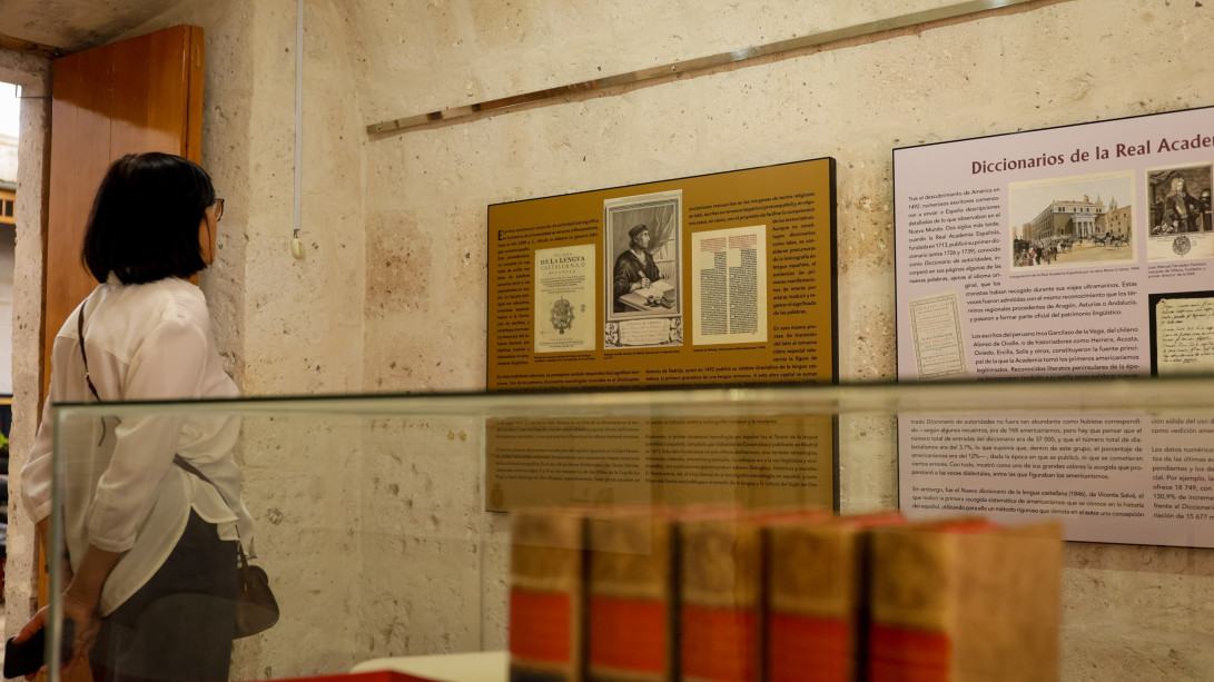 Exposición «Diccionarismos. La riqueza de nuestra lengua», en la Biblioteca Mario Vargas Llosa de Arequipa, Perú