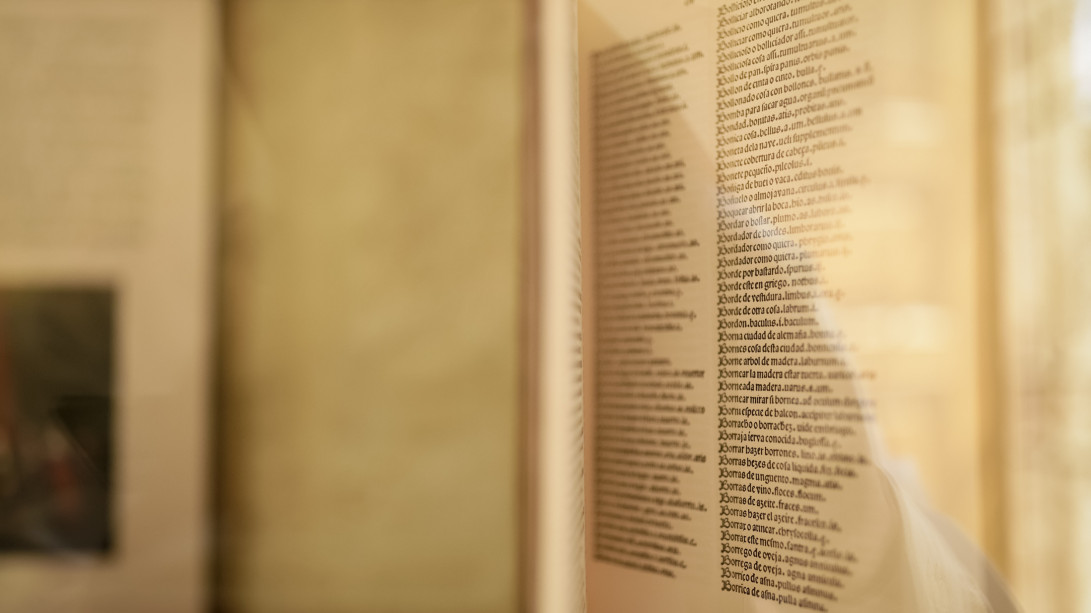 Exposición «Diccionarismos. La riqueza de nuestra lengua», en la Biblioteca Mario Vargas Llosa de Arequipa, Perú