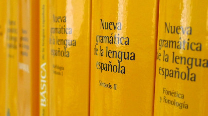 «Nueva gramática de la lengua española», 2009-2011.